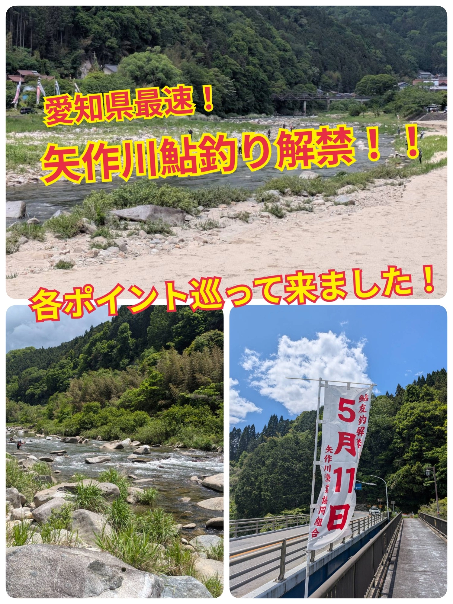 2026年愛知県最速！矢作川鮎解禁情報！ | 釣具のイシグロ | 釣り情報サイト