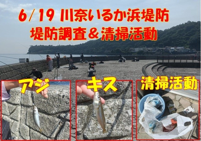 川奈いるか浜堤防