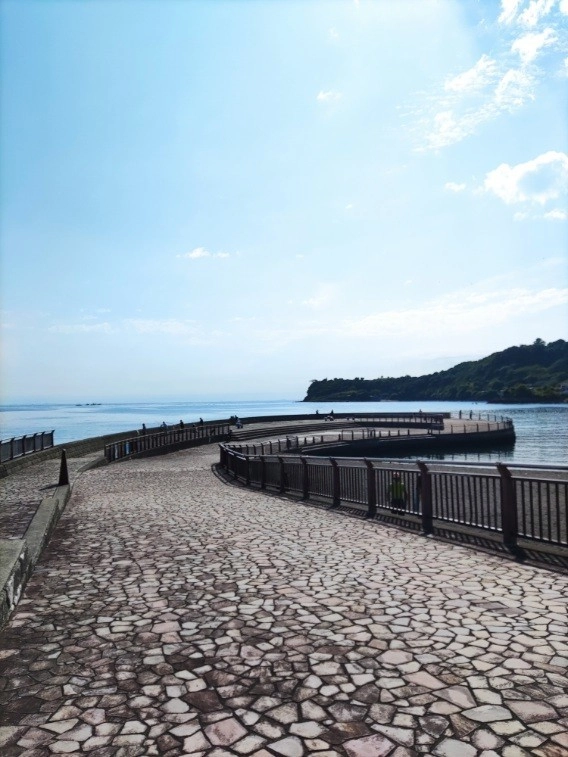 川奈いるか浜堤防