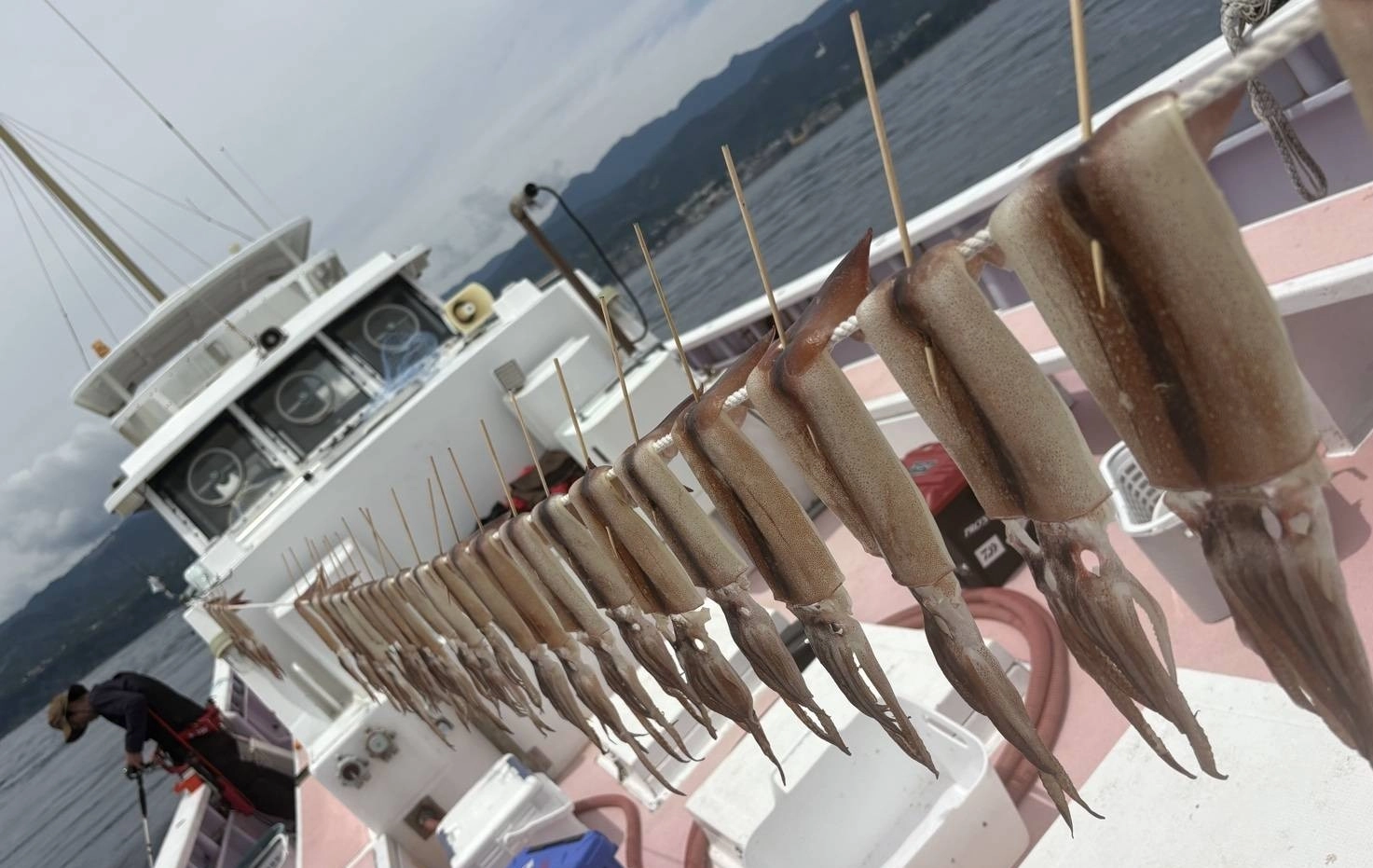 美味しい船上干し☆釣り人だけの特権です