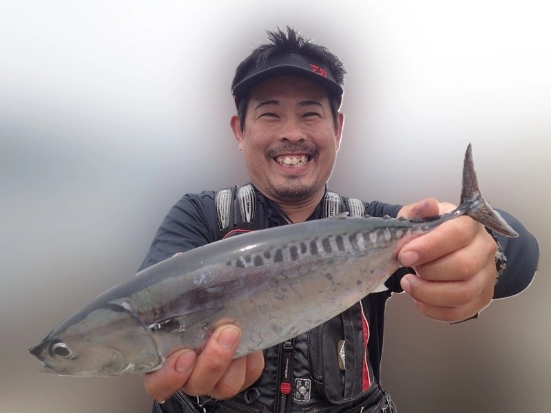 瀬尾様とソウダガツオ