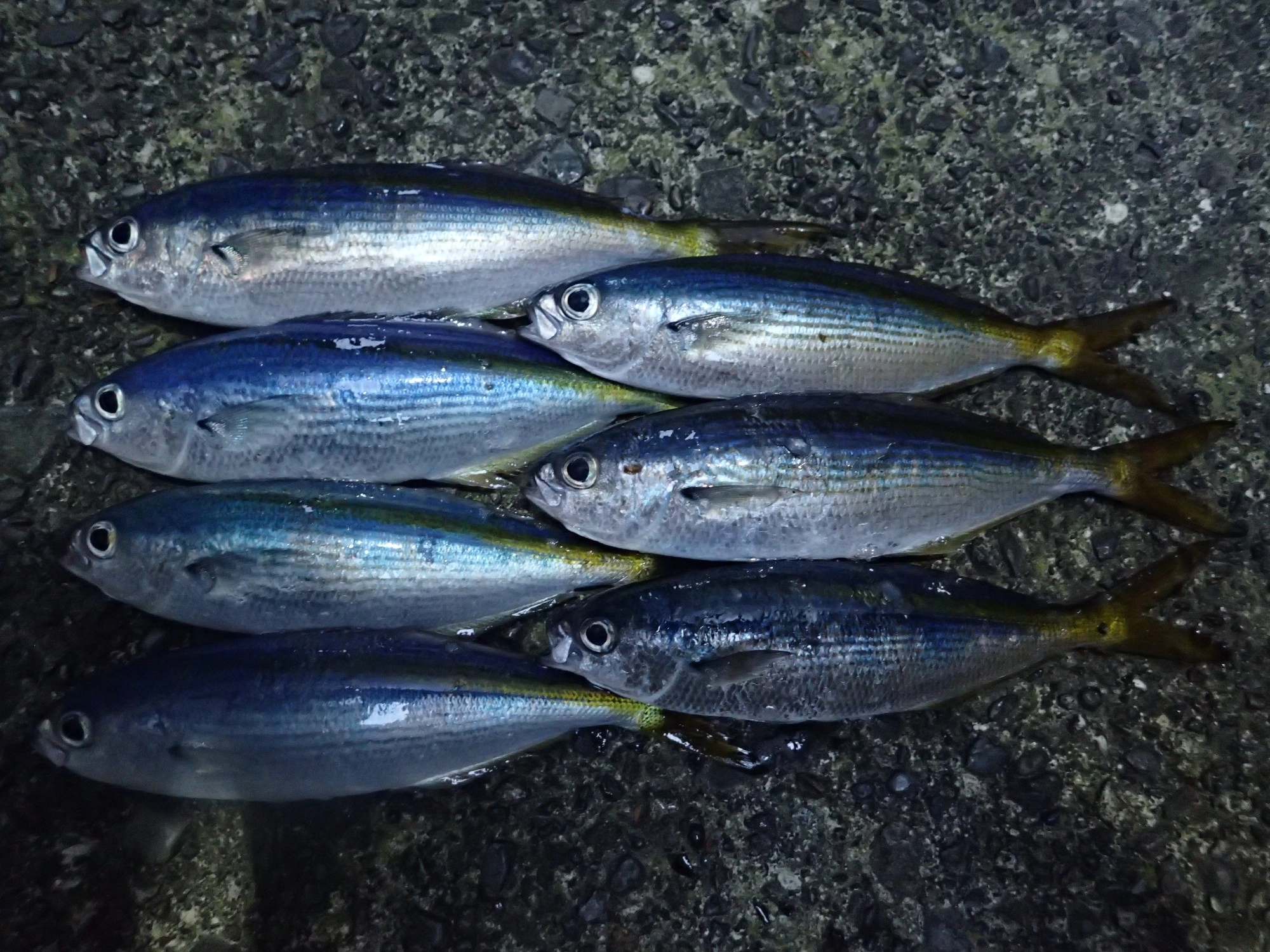 タカベ