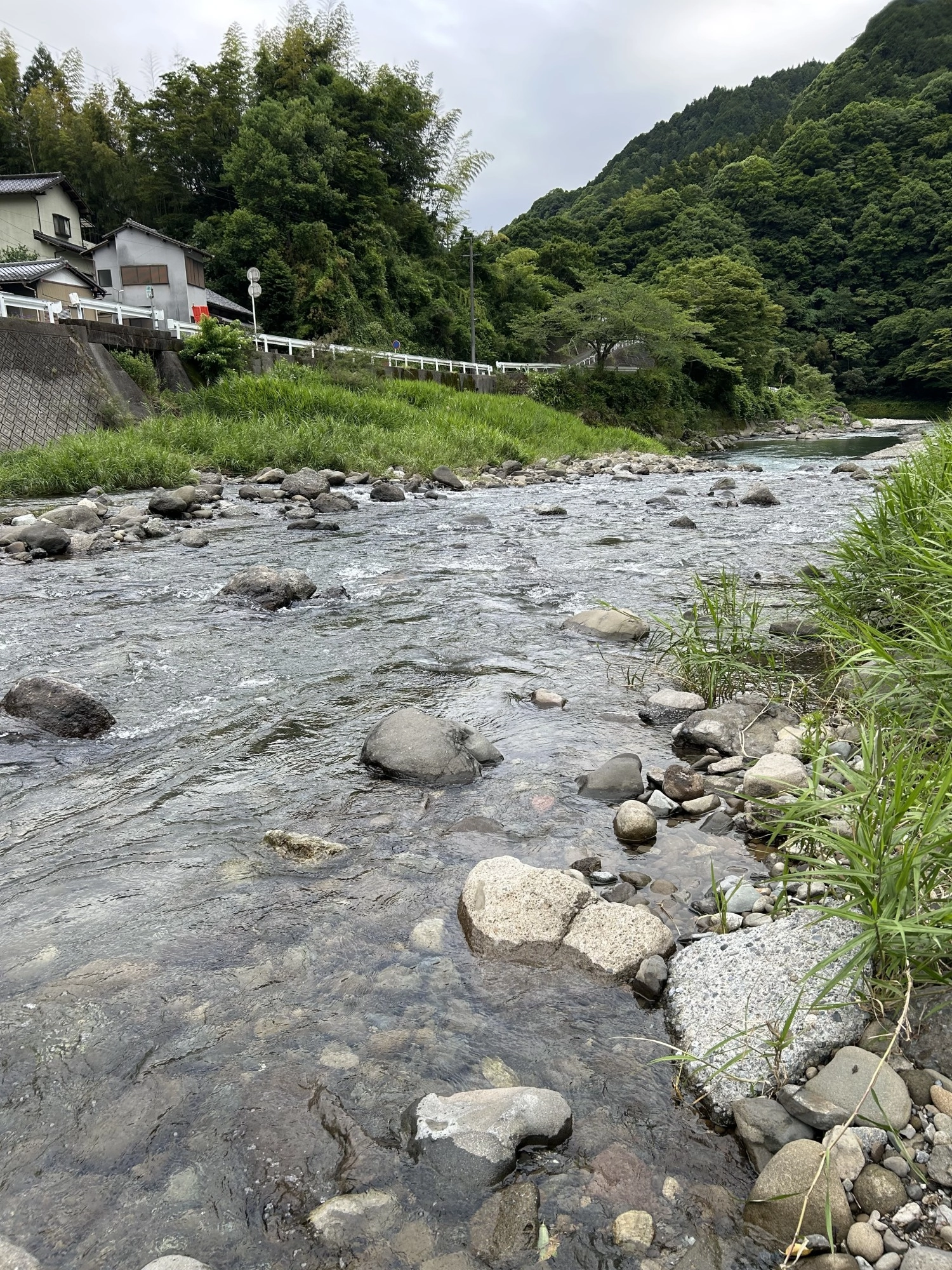 中河内川合流点