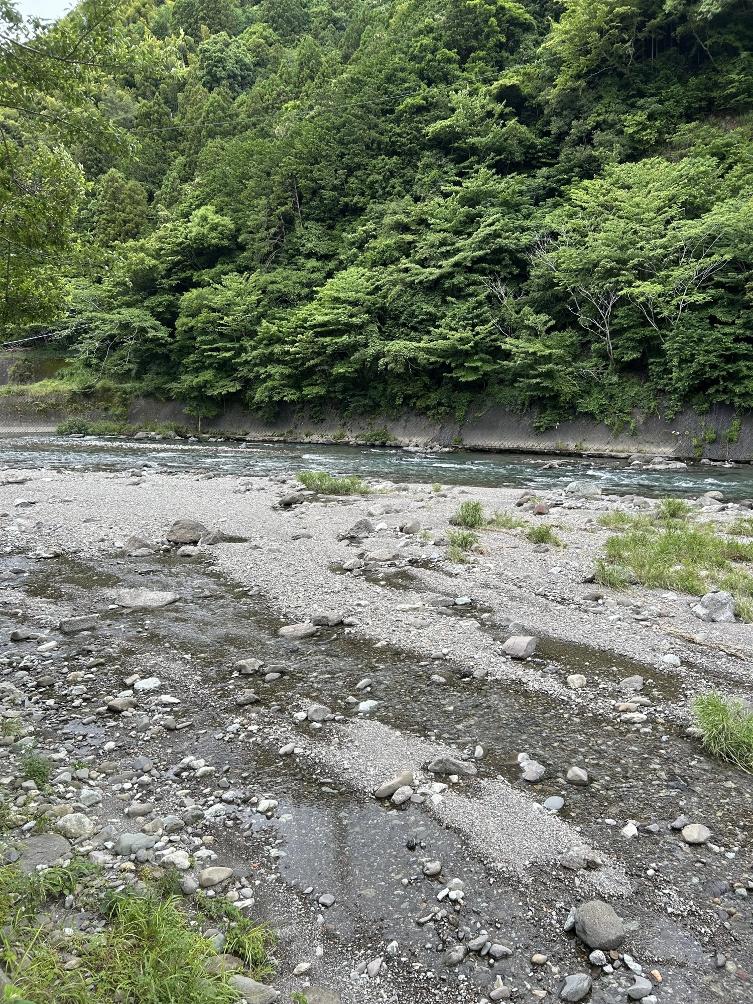 興津川漁協の裏