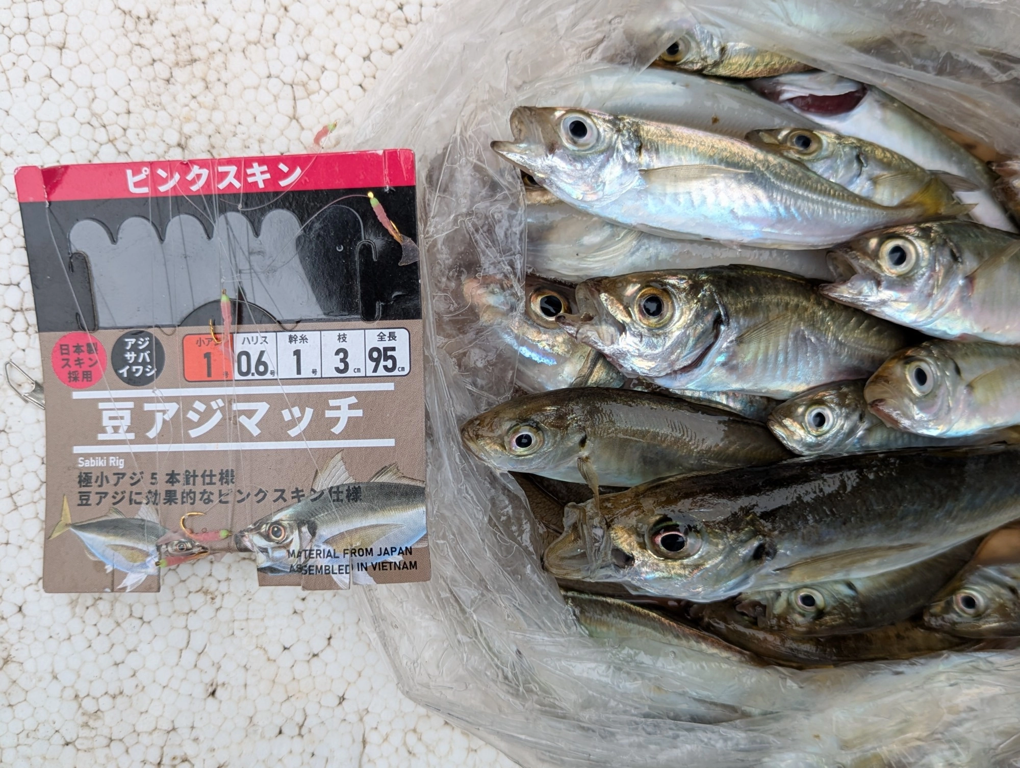 アジのサイズが徐々に大きくなってきているのでサビキ仕掛けは「豆アジマッチ」がオススメ！サイズは1号を。