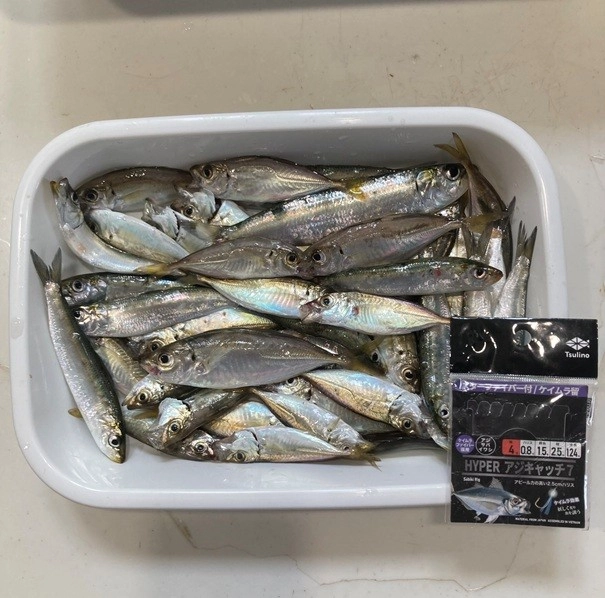 アジのほかマイワシもたくさん釣れましたよ。