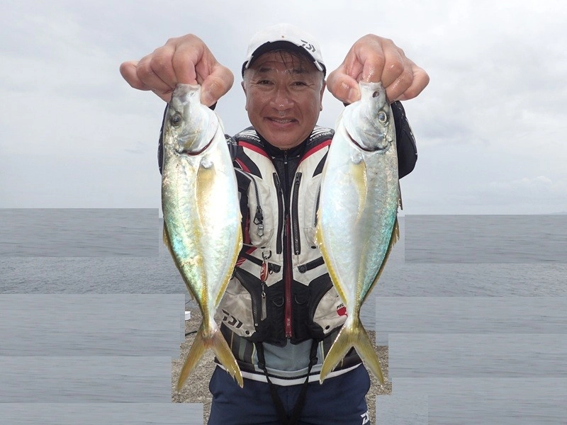 シマアジ釣れてます!