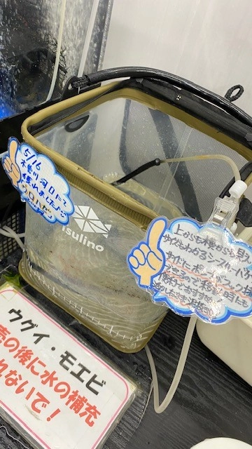 シースルーバケツ