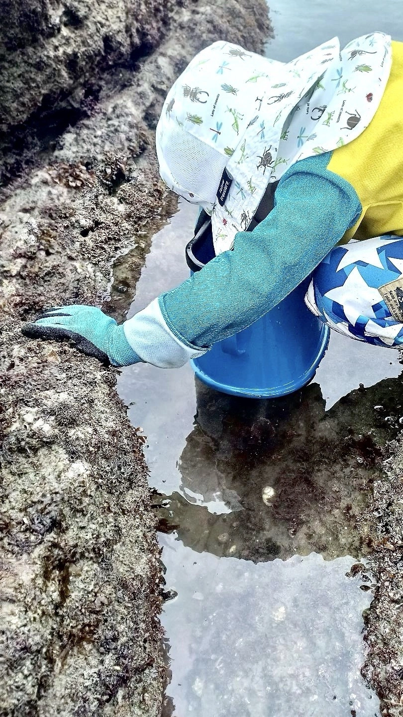 たこめがねで水中を覗いてみよう♪