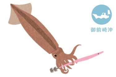御前崎沖 スルメイカ釣り