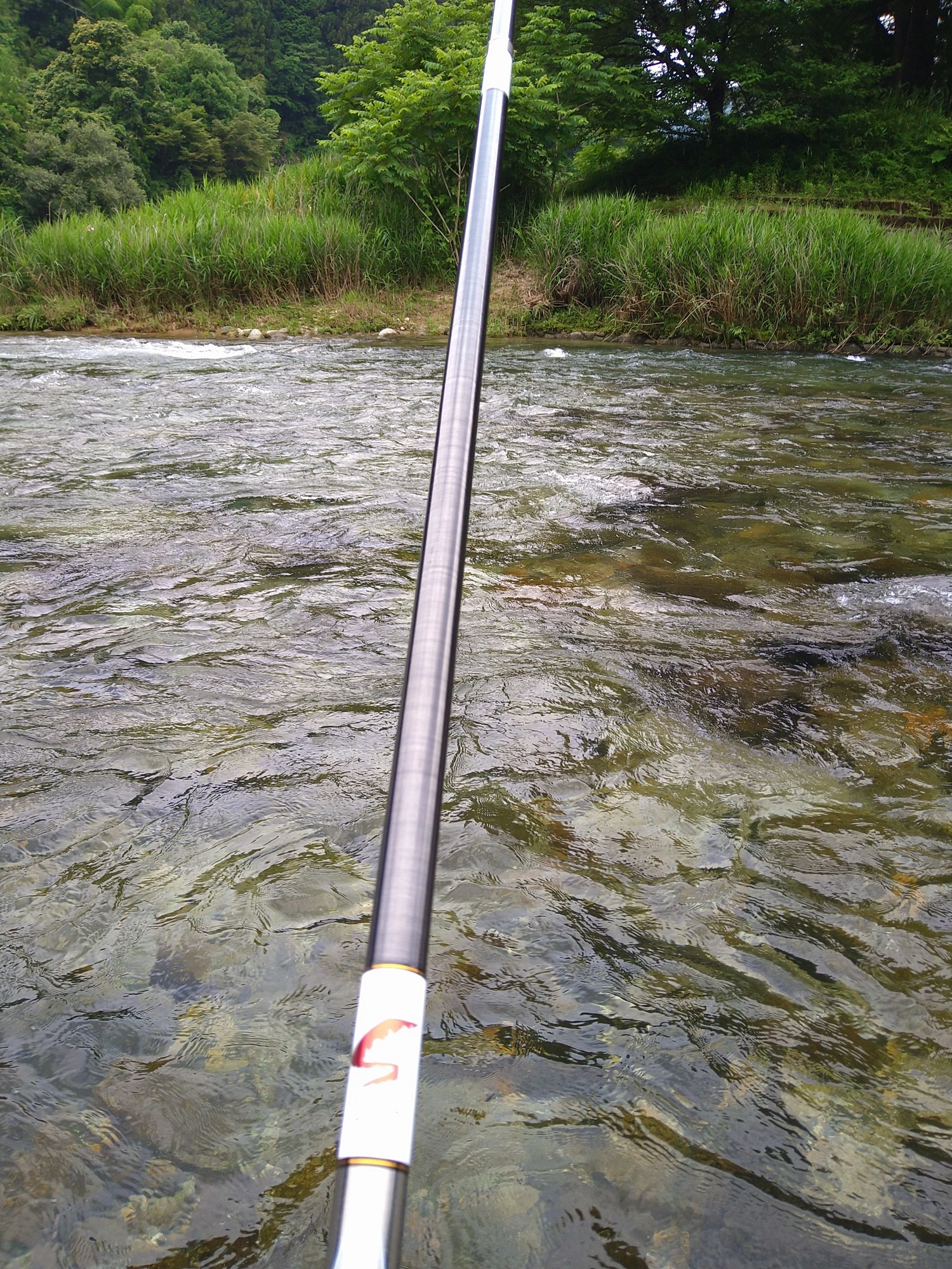 石色悪くないです！照りこめば一気によくなりそうです！