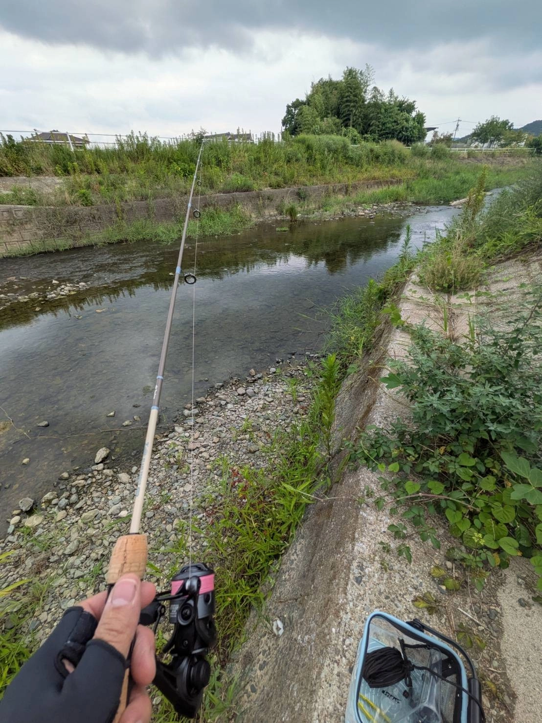 近くの小川は意外といろいろな魚がルアーで狙えますよ♪竿はツリノの「グラストラウト」がぴったりです
