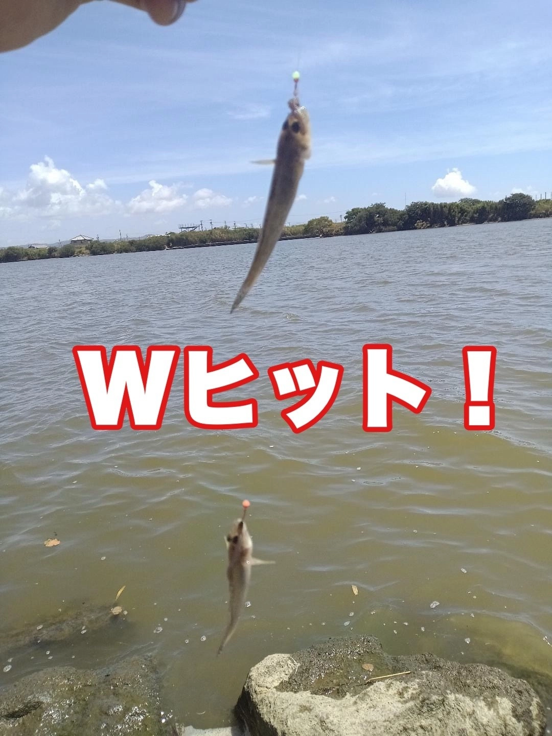 ダブルヒットもありました♪