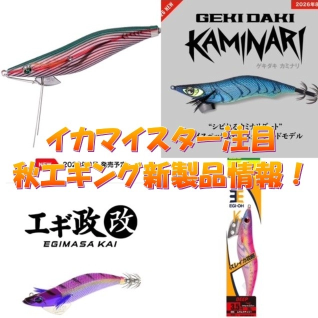 イカマイスター注目！！秋のエギング新製品情報！！ | アオリイカ