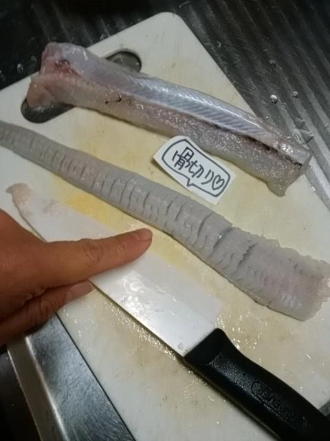 骨切り