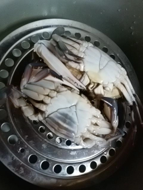 裏側が上