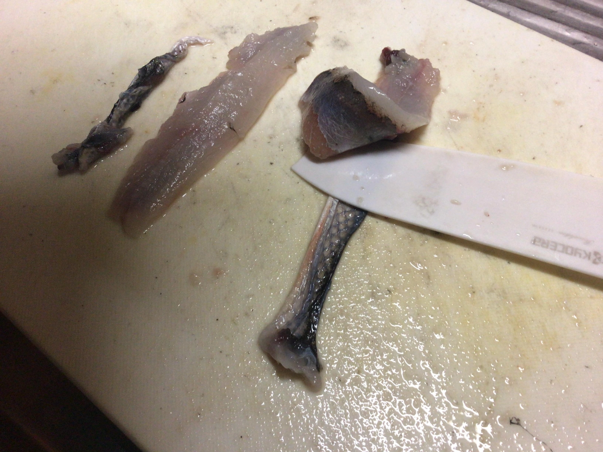大きめの魚は、皮をひいて刺身デス❗️包丁立てて皮を引く。