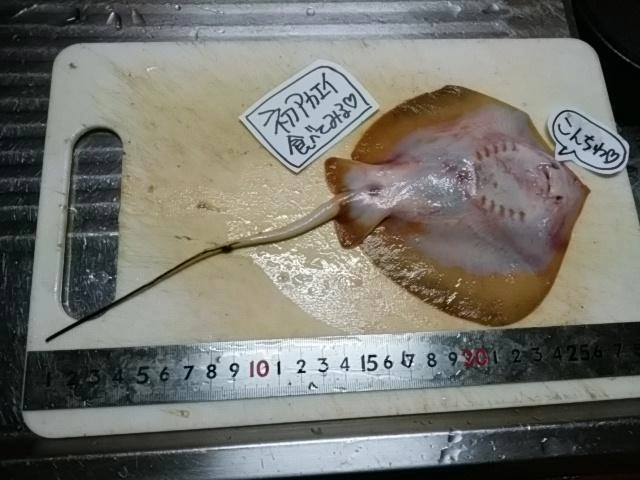 初ゲット