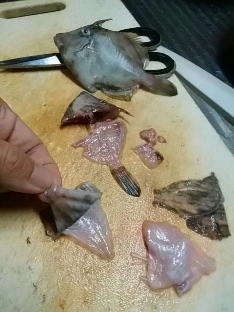 ペロン