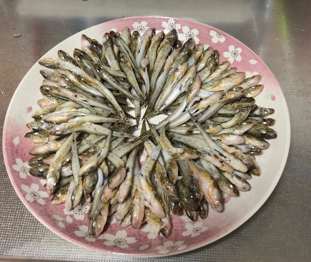 下処理
１日目：塩水付けして一夜干し
２日目：焼いて一夜干し（写真状態）
３日目：焼きハゼ・佃煮へ
