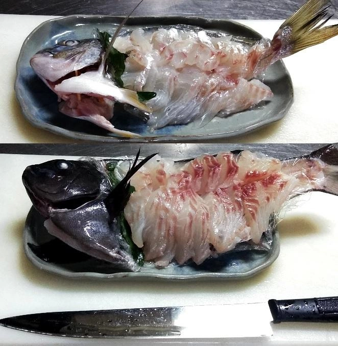 上がヘダイ28cm、下がグレ34cmのお造り。
グレは、脂がのっていて刺身包丁が白くなりました。