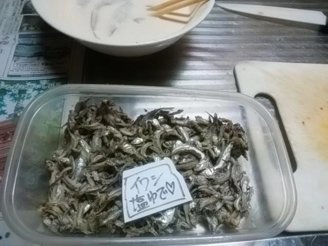 イワシ塩茹で