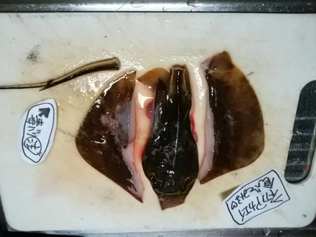 さばく