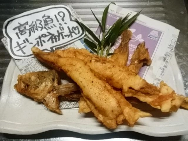 ギンポ