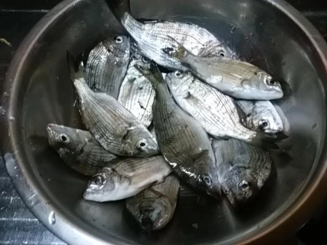 チンタ爆