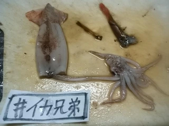 さばく