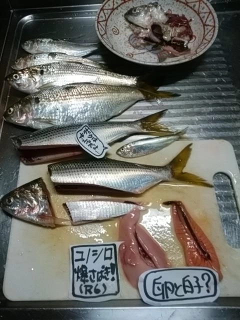 感謝