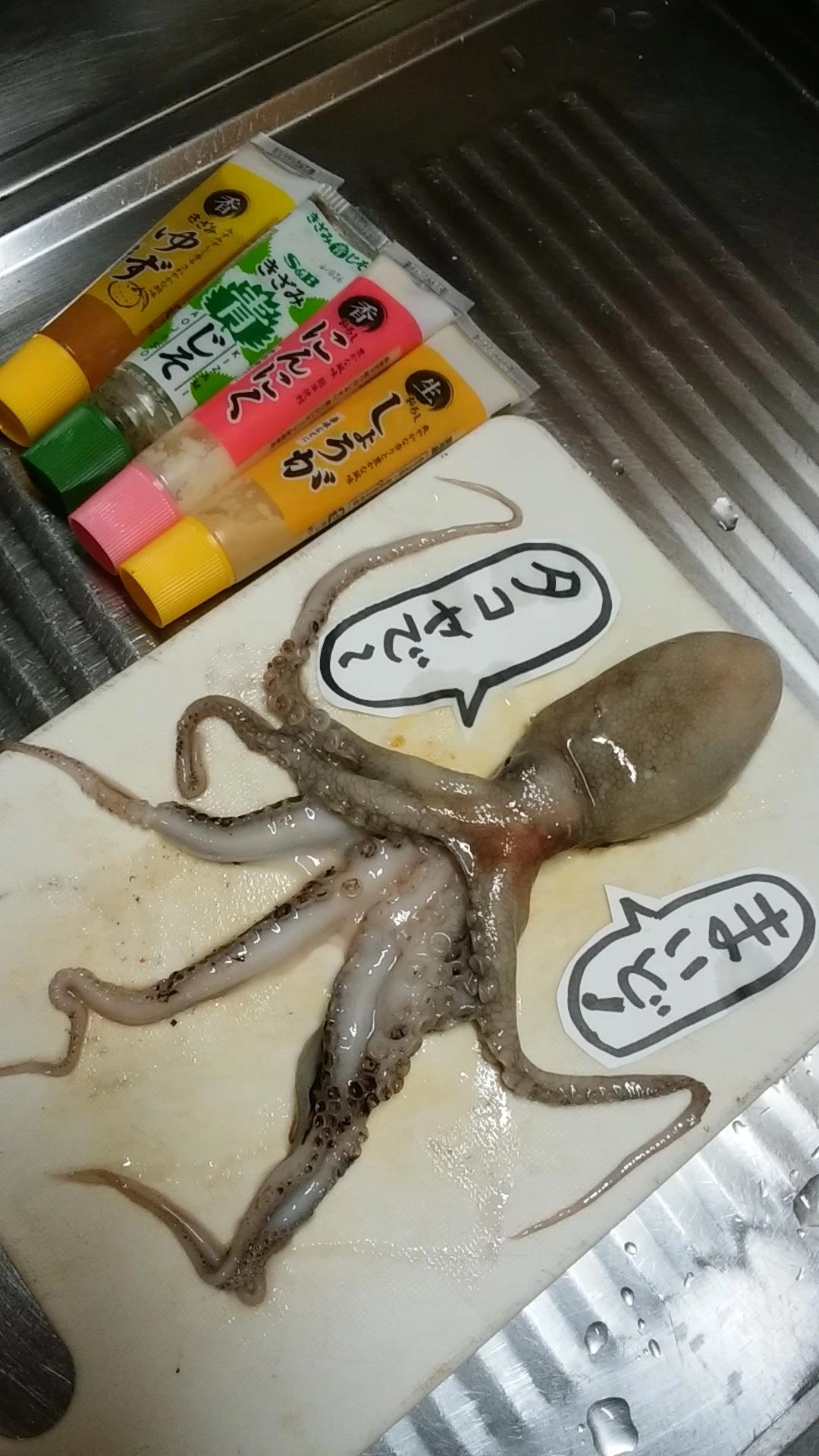 タコタコゲット!もらい物☆
