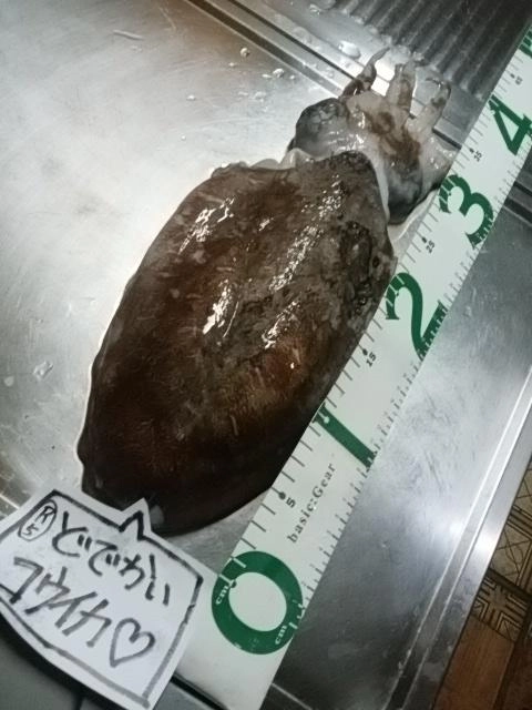 デカい