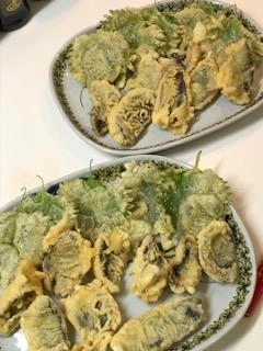 メジナを天ぷらでいただきました。
プリプリしていて美味しかったです。