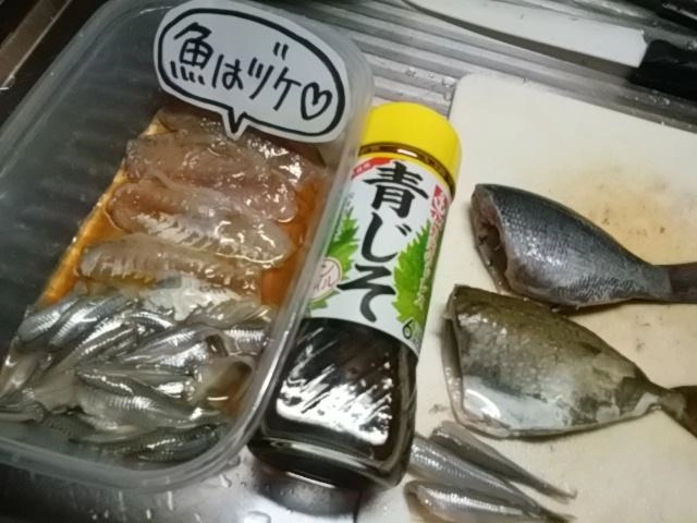 魚は冷凍保存を活用