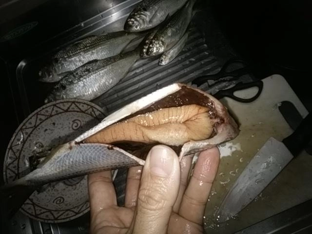 魚卵