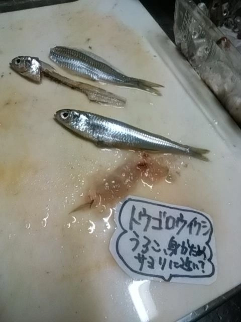 コリコリ