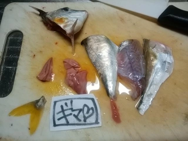 ぎま