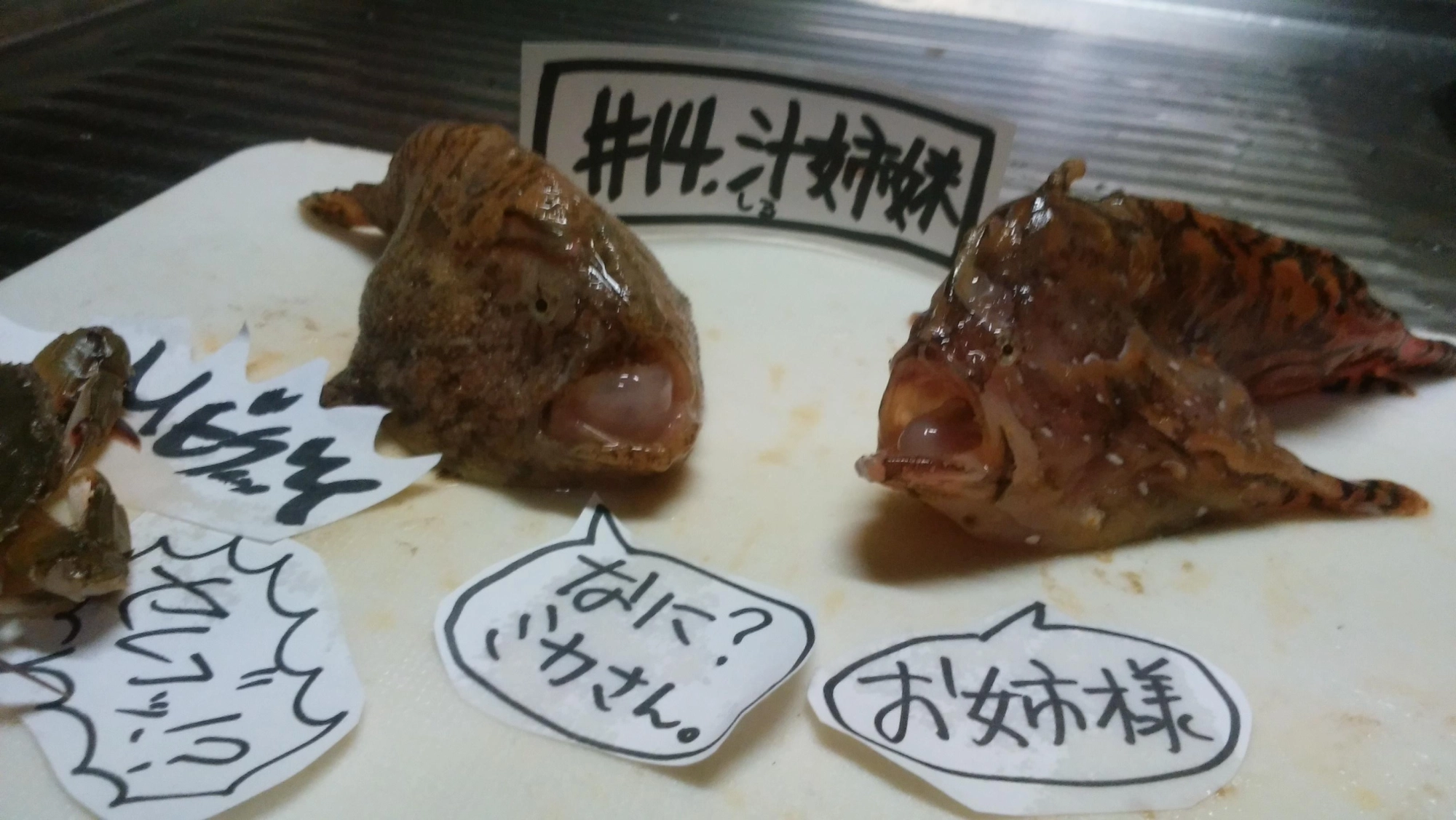 かわいい？まじ？