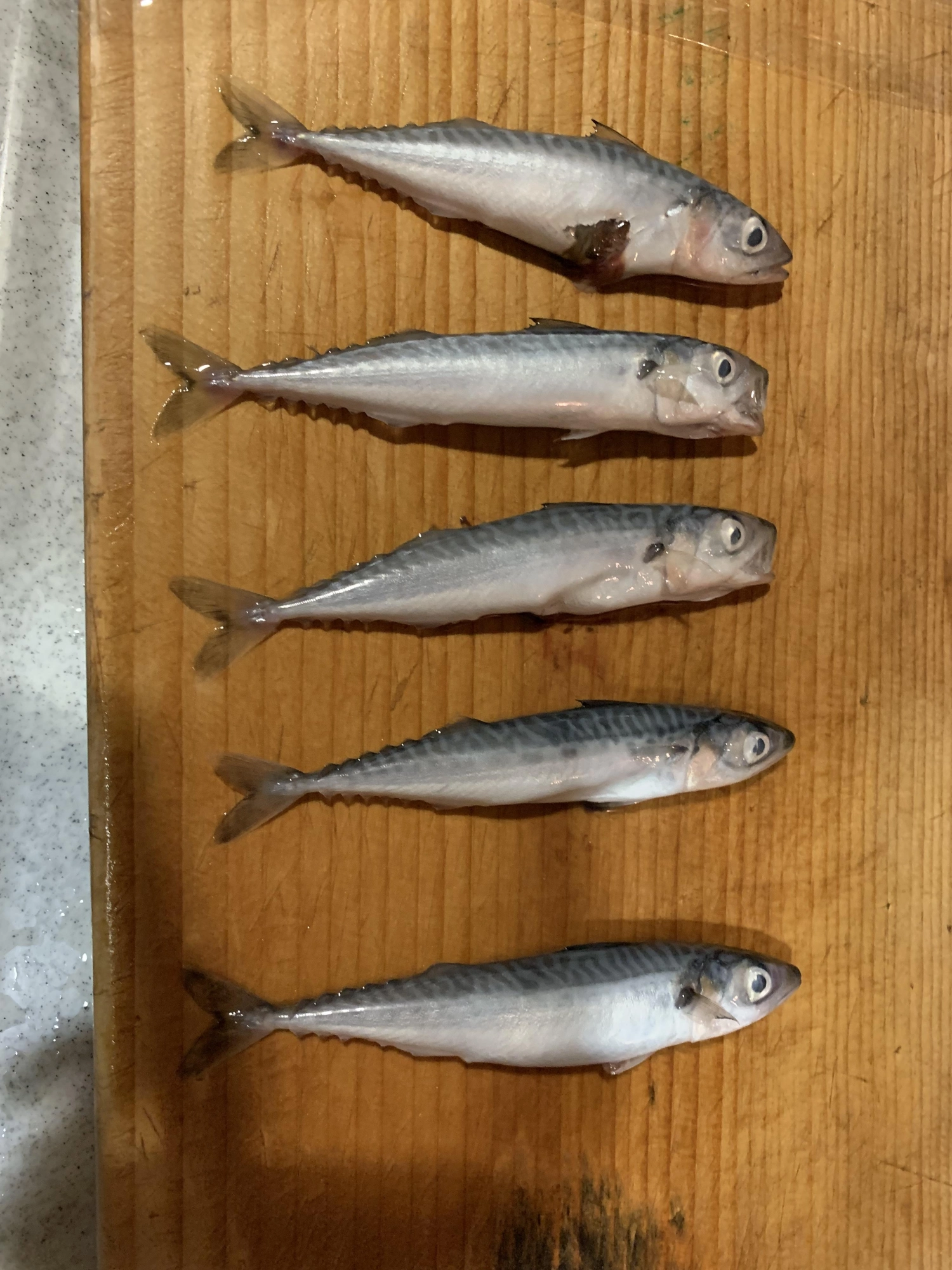 料理前
