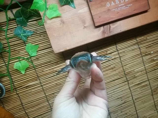 なんか可愛い