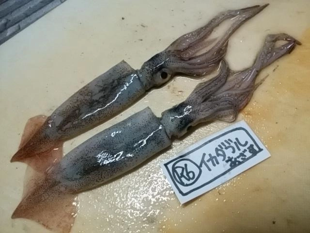 感謝