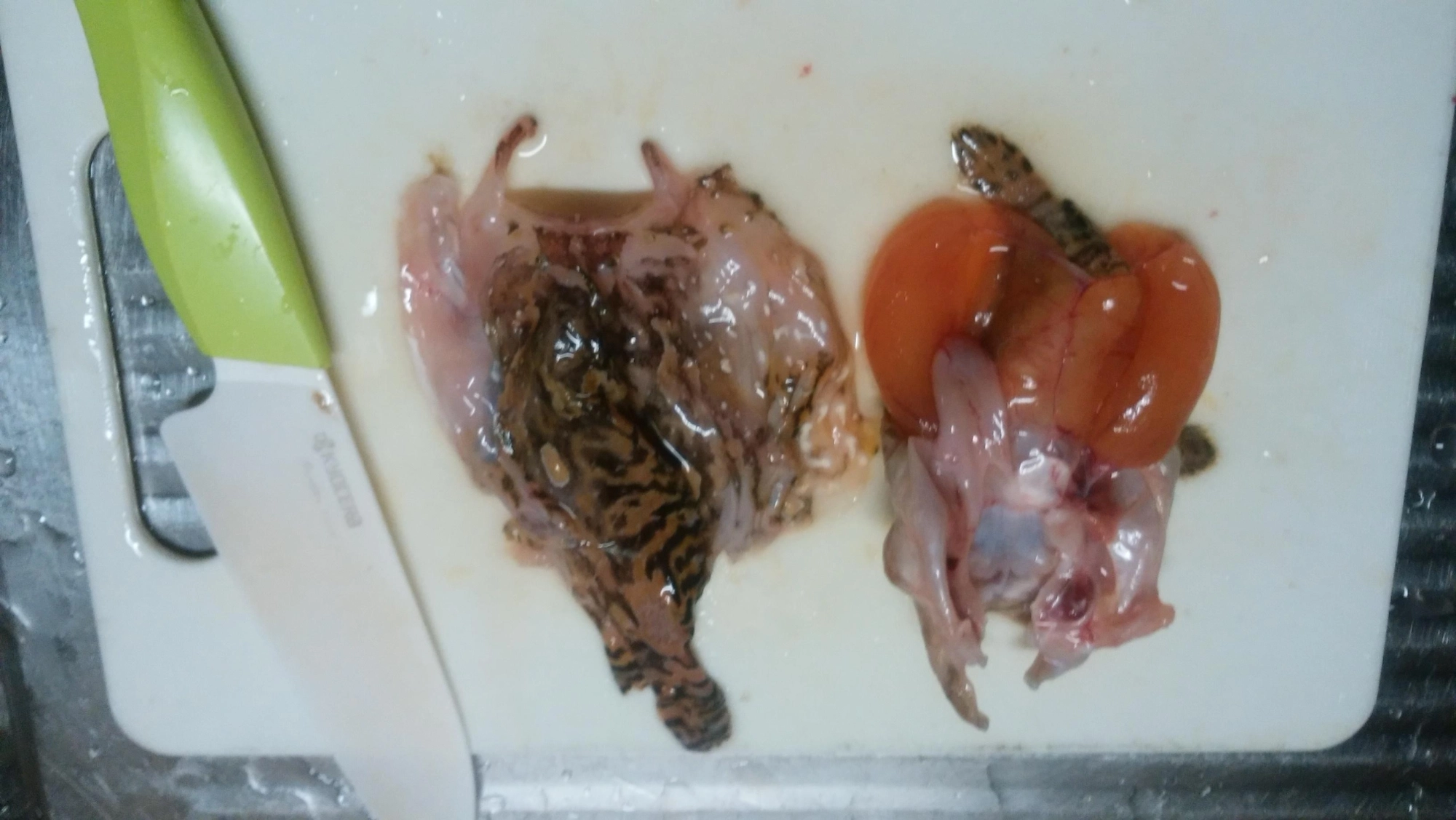 さばけない(-ω-;)腹出し
