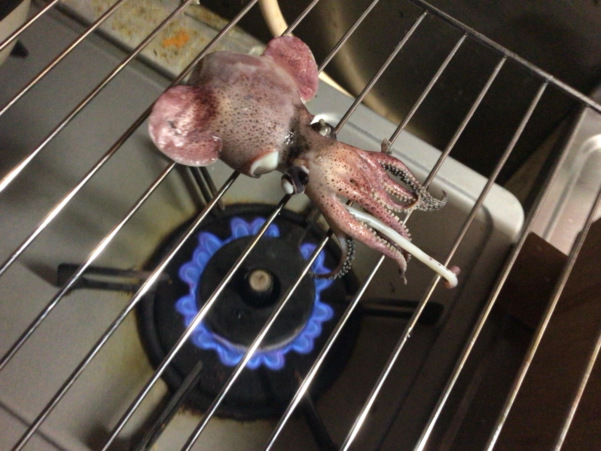 得意の炙り焼き♪