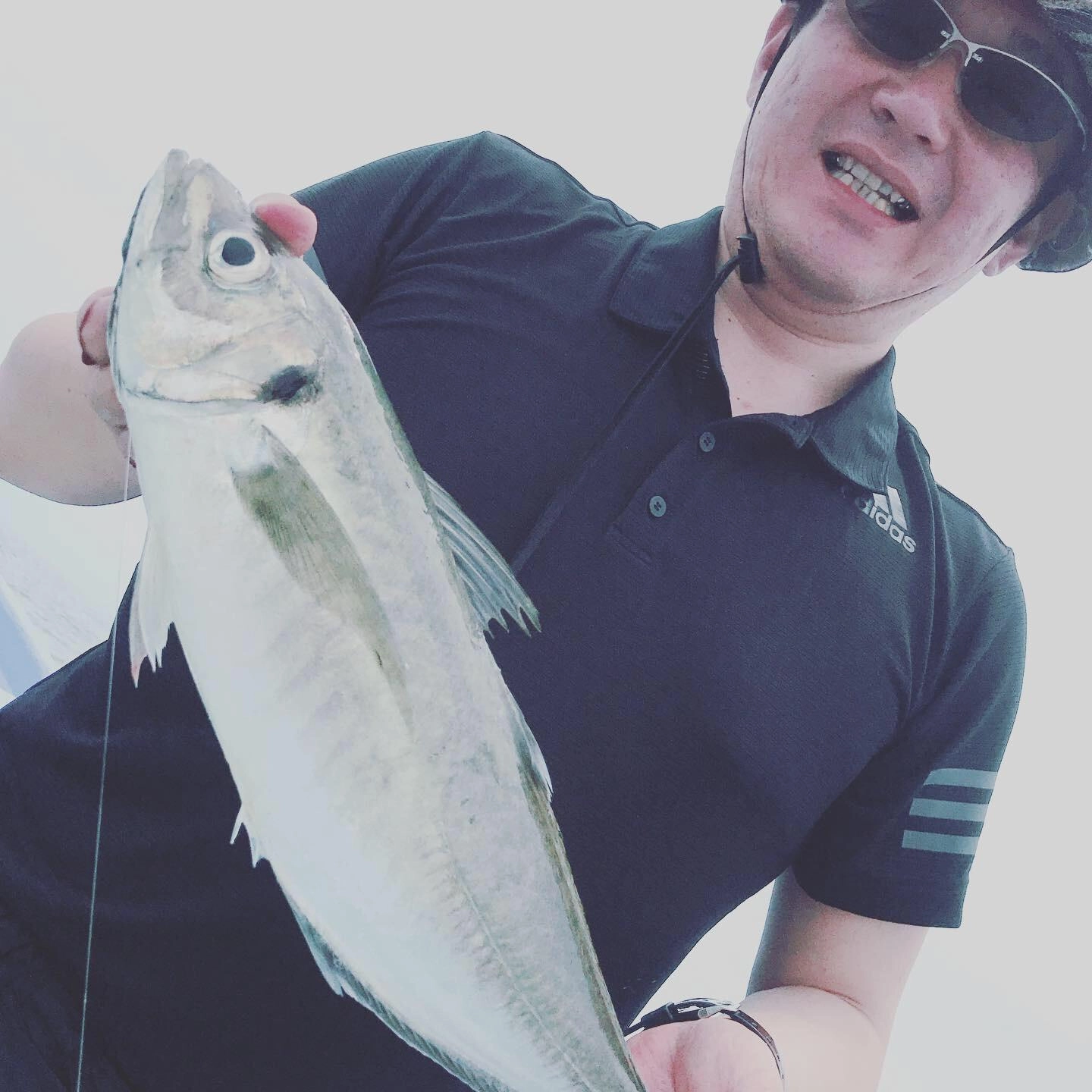 デカイ真鯵