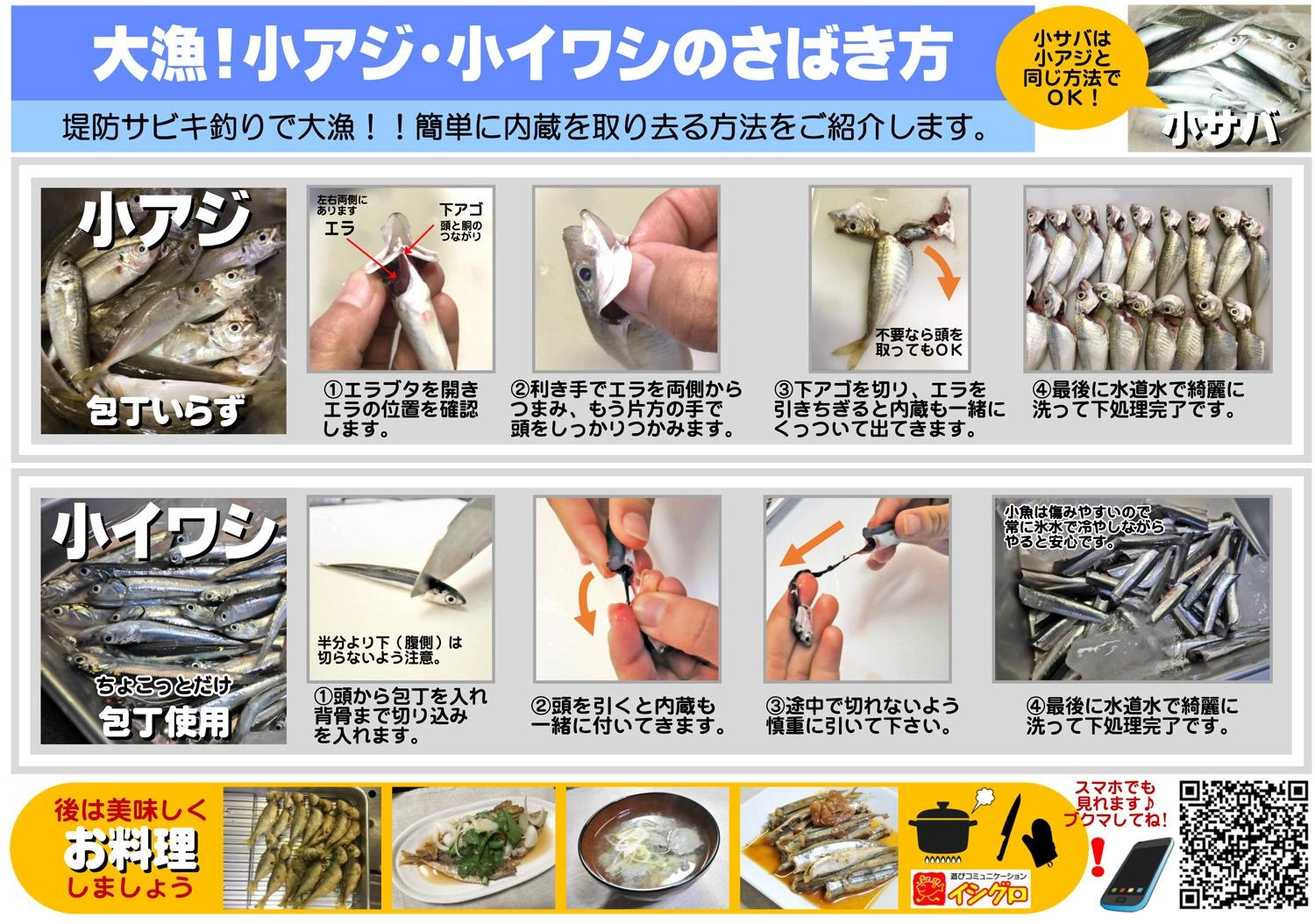 釣った魚は上手に下処理して美味しく頂きましょう!