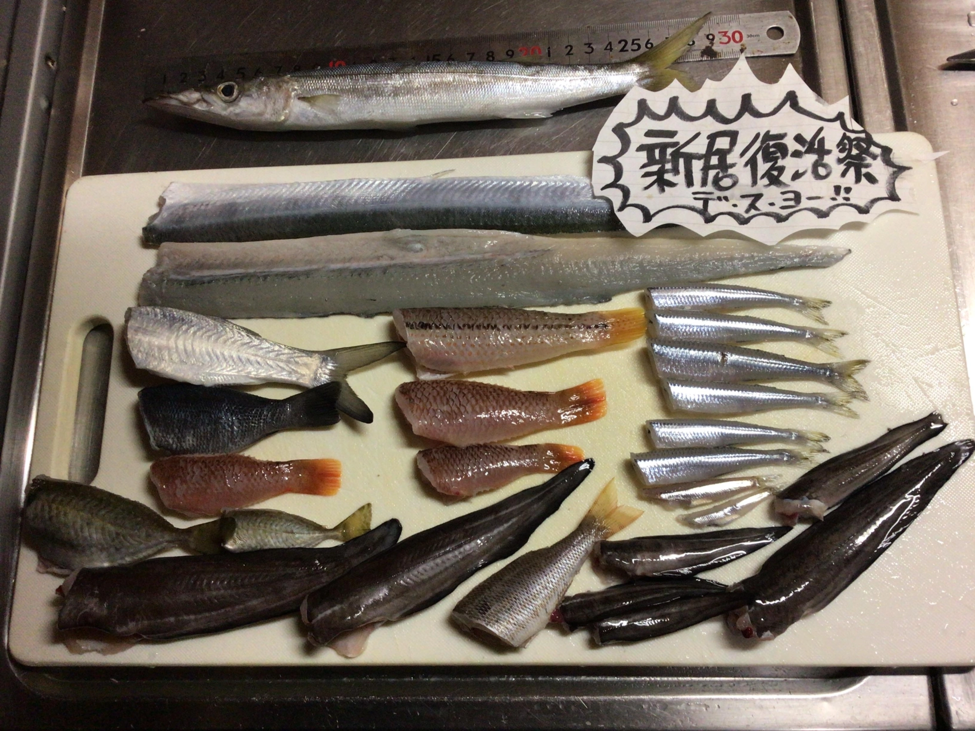 今日の釣魚たち。美味しくいただきマス❗️