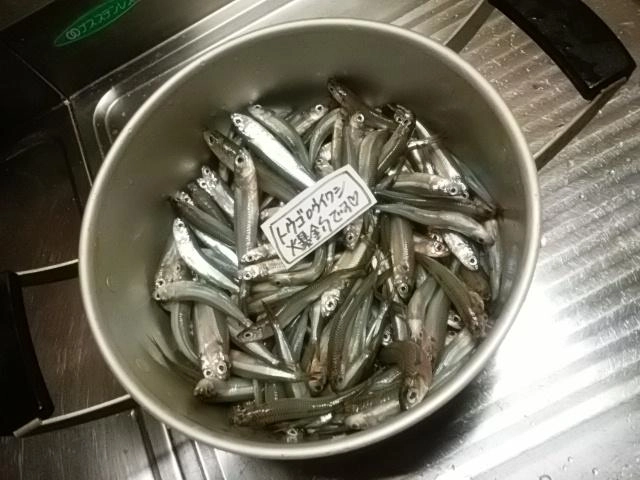 大漁