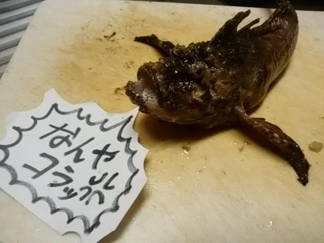こわっ