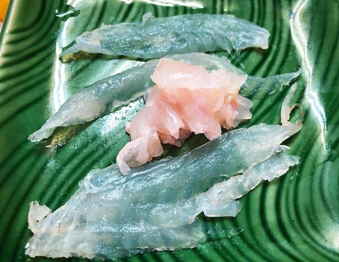 一晩寝かせて 朝から捌いて 貴重なエンガワいただきました。